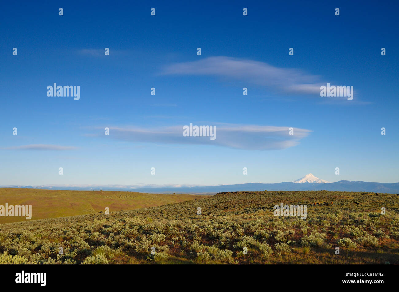 USA, Oregon, Desert landscape Stock Photo Alamy