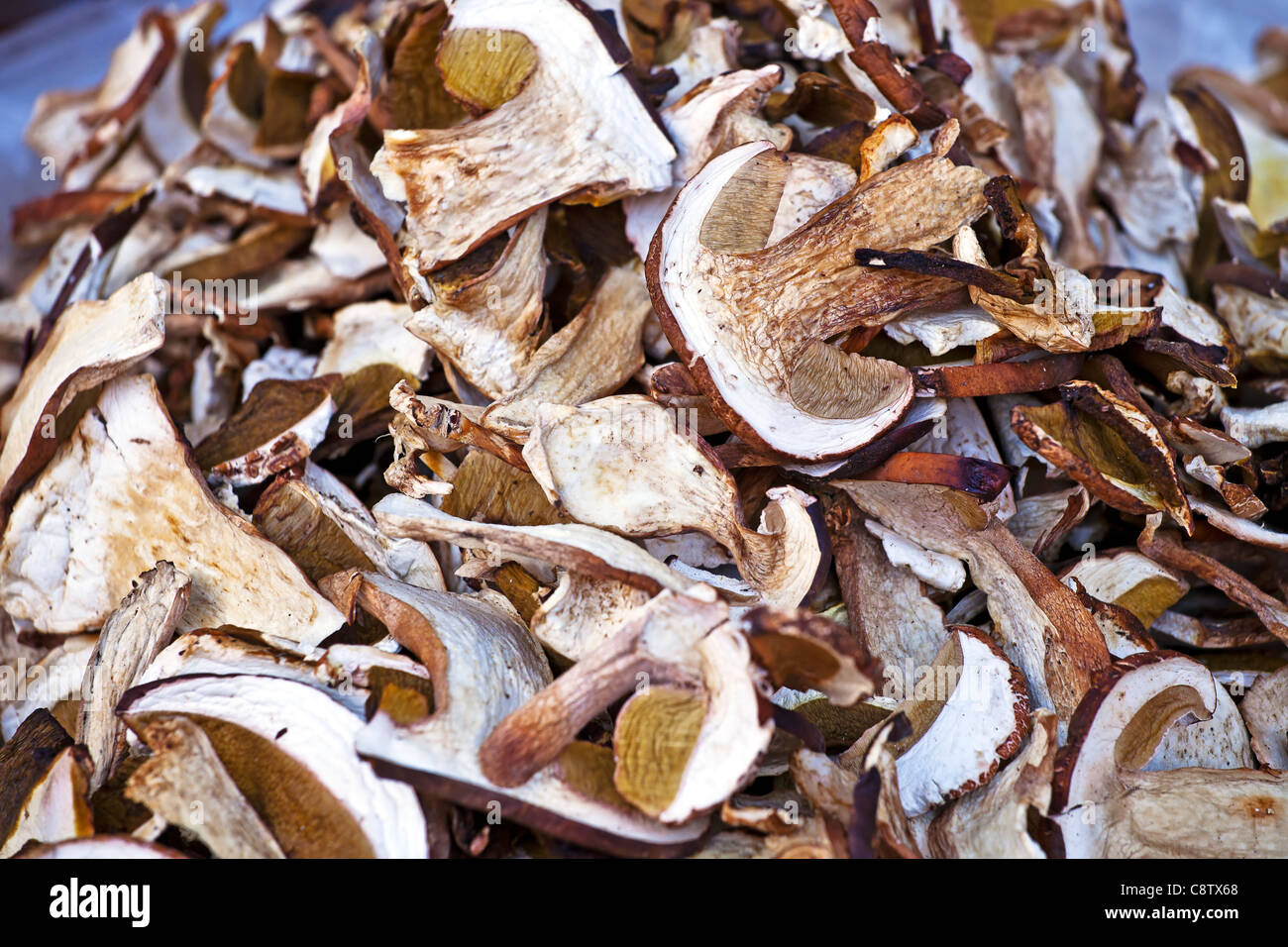 Porcini italy hires stock photography and images Alamy