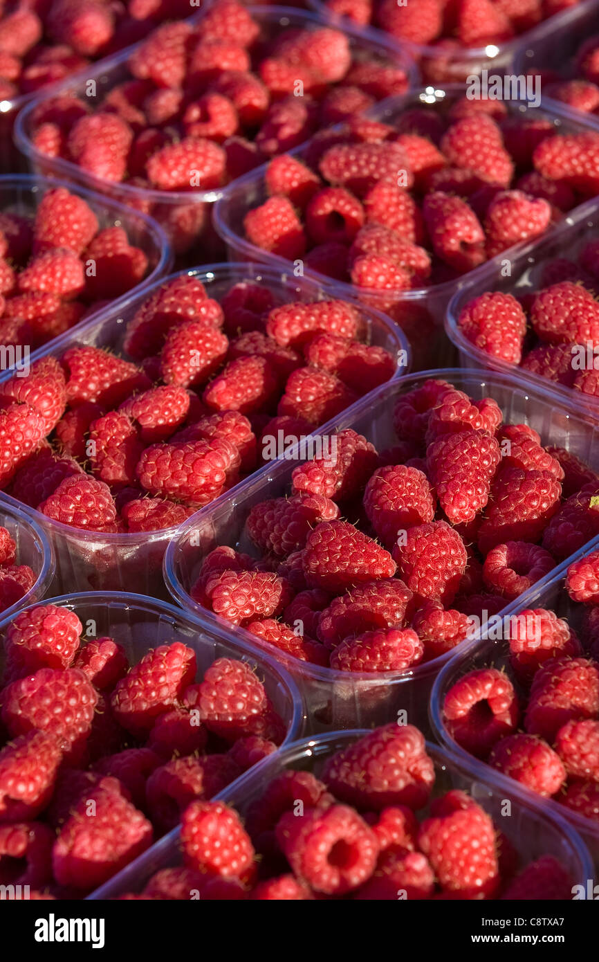 raspberries Stock Photo