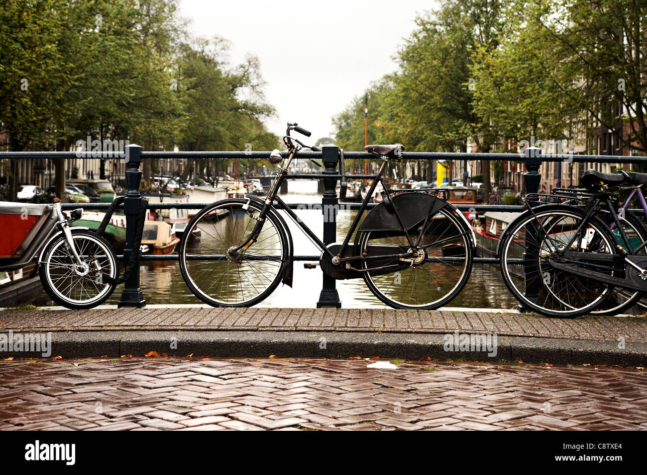 Canal Railing Typical male Dutch bicycle locked on a canal railing in Amsterdam Stock ...