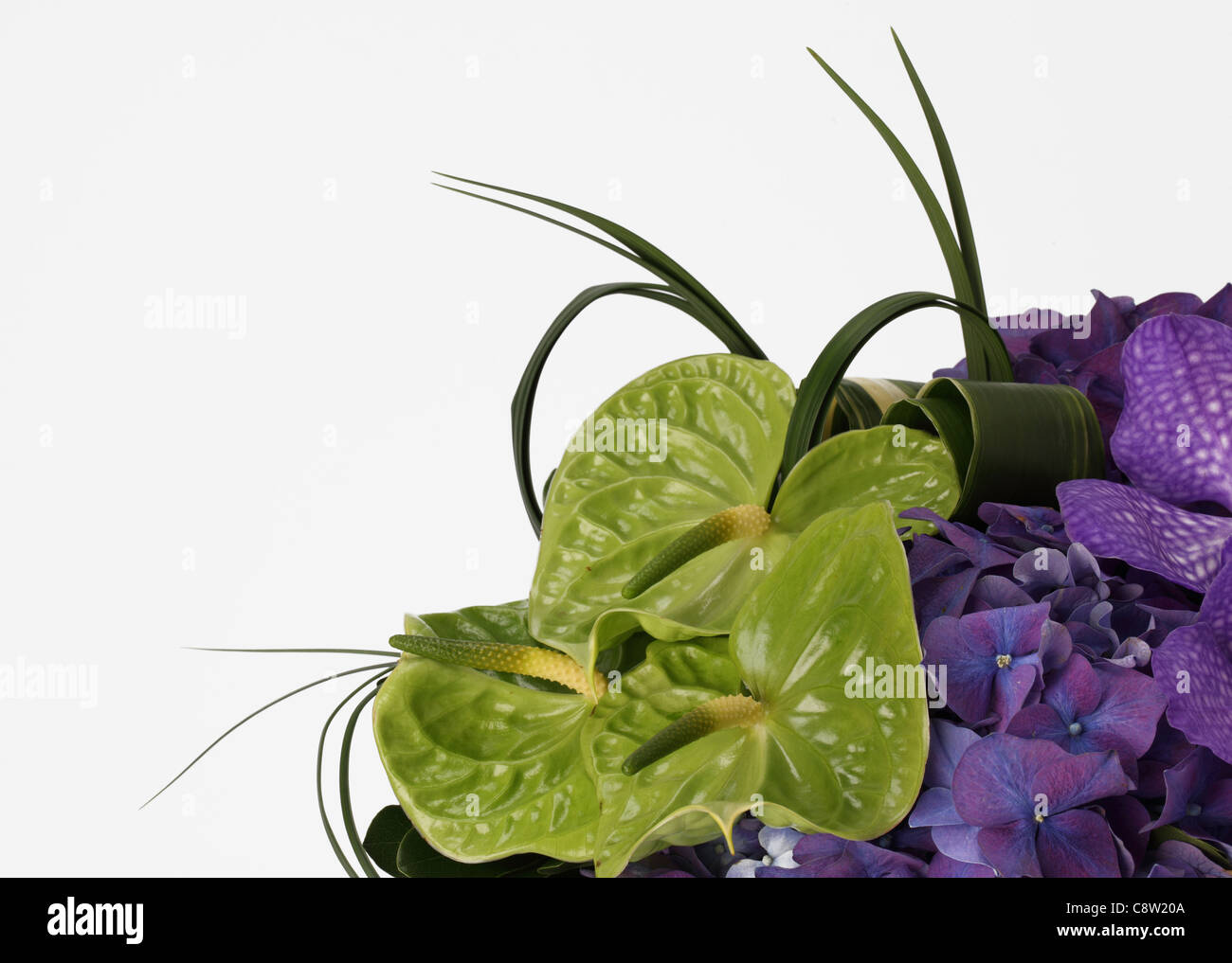 A close-up of a colorful bouquet of flowers. Purple vanda orchids, green anthuriums, purple hydrangea. Stock Photo