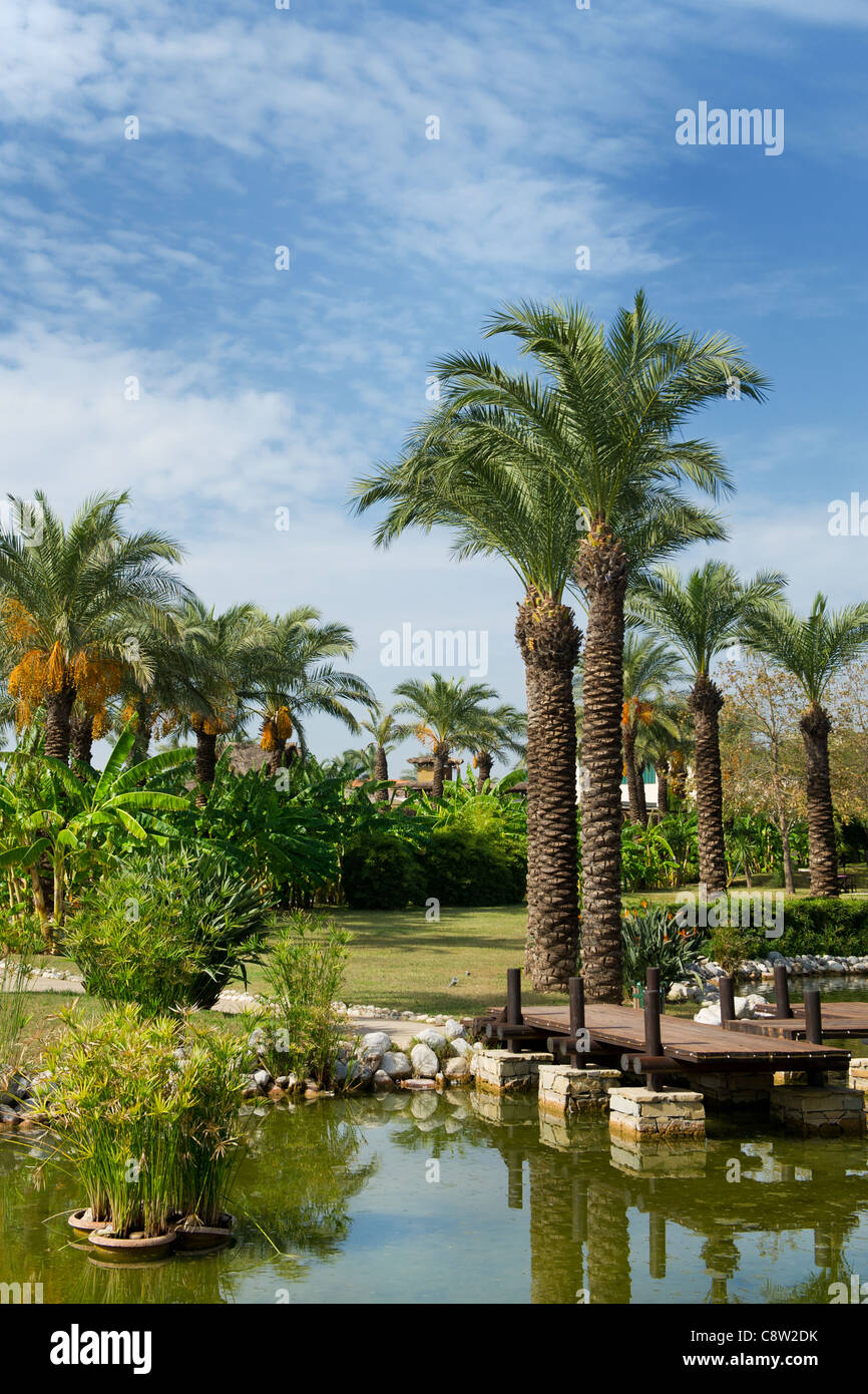 Tropical garden with palm trees and banana trees Stock Photo - Alamy