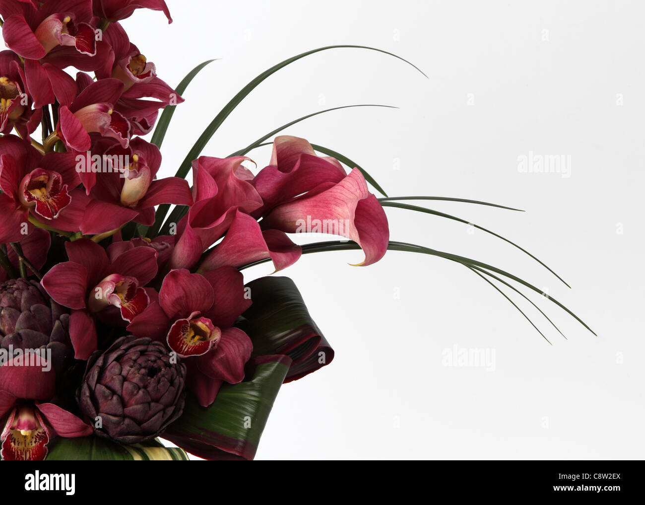 A close-up of a colorful bouquet of flowers. Spray of red cymbidium orchids, two purple proteas Stock Photo