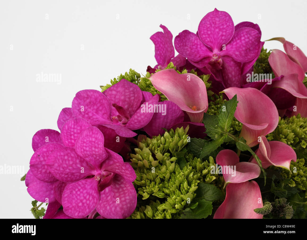A close-up of a colorful bouquet of flowers. Pink calla lilies, purple vanda orchids, green unknown spray. Stock Photo