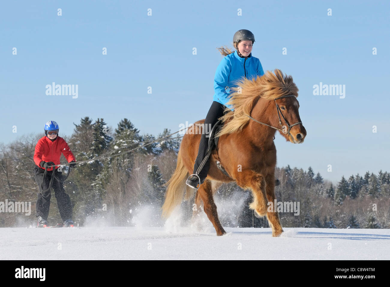 Two girls having fun while skijöring with an Icelandic horse Stock Photo