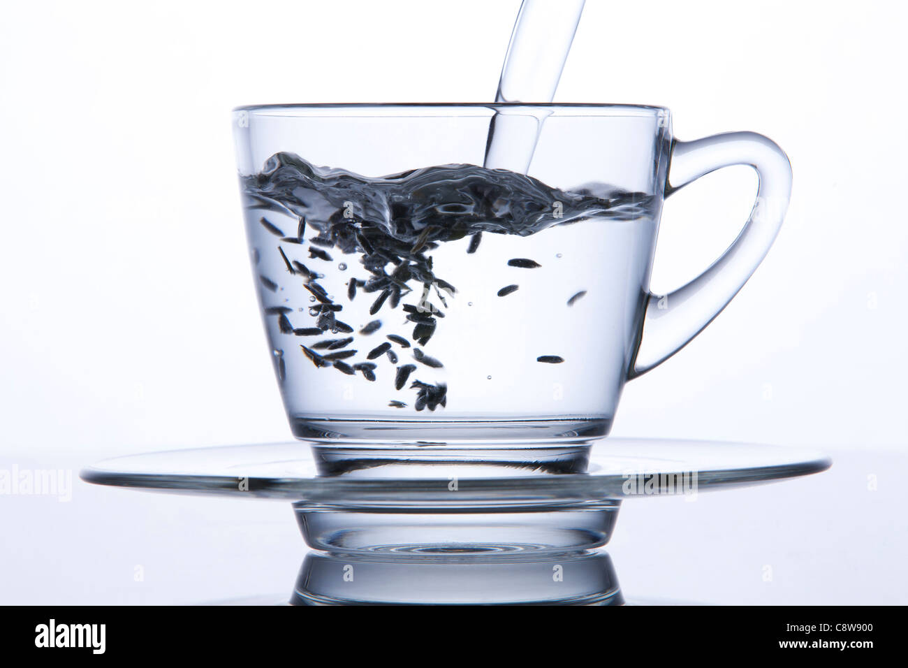 Tea Cup and Saucer Set Pond