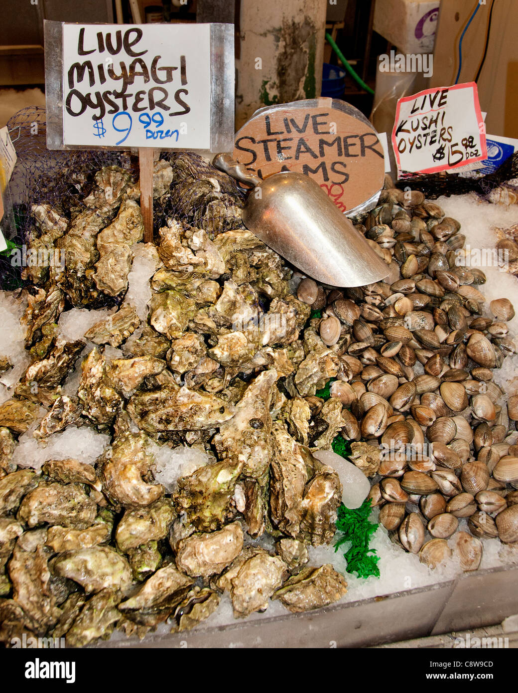 Seattle Pike Place Fish Monger Farmers Market Washington State United