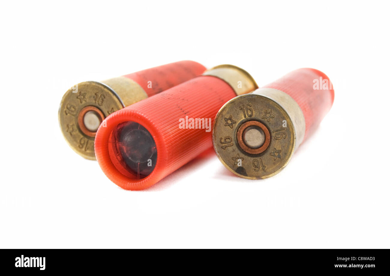 hunting cartridges for shotgun 16 caliber isolated on white background Stock Photo