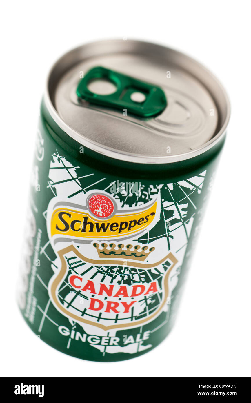 Is Ginger Ale Good For Dogs