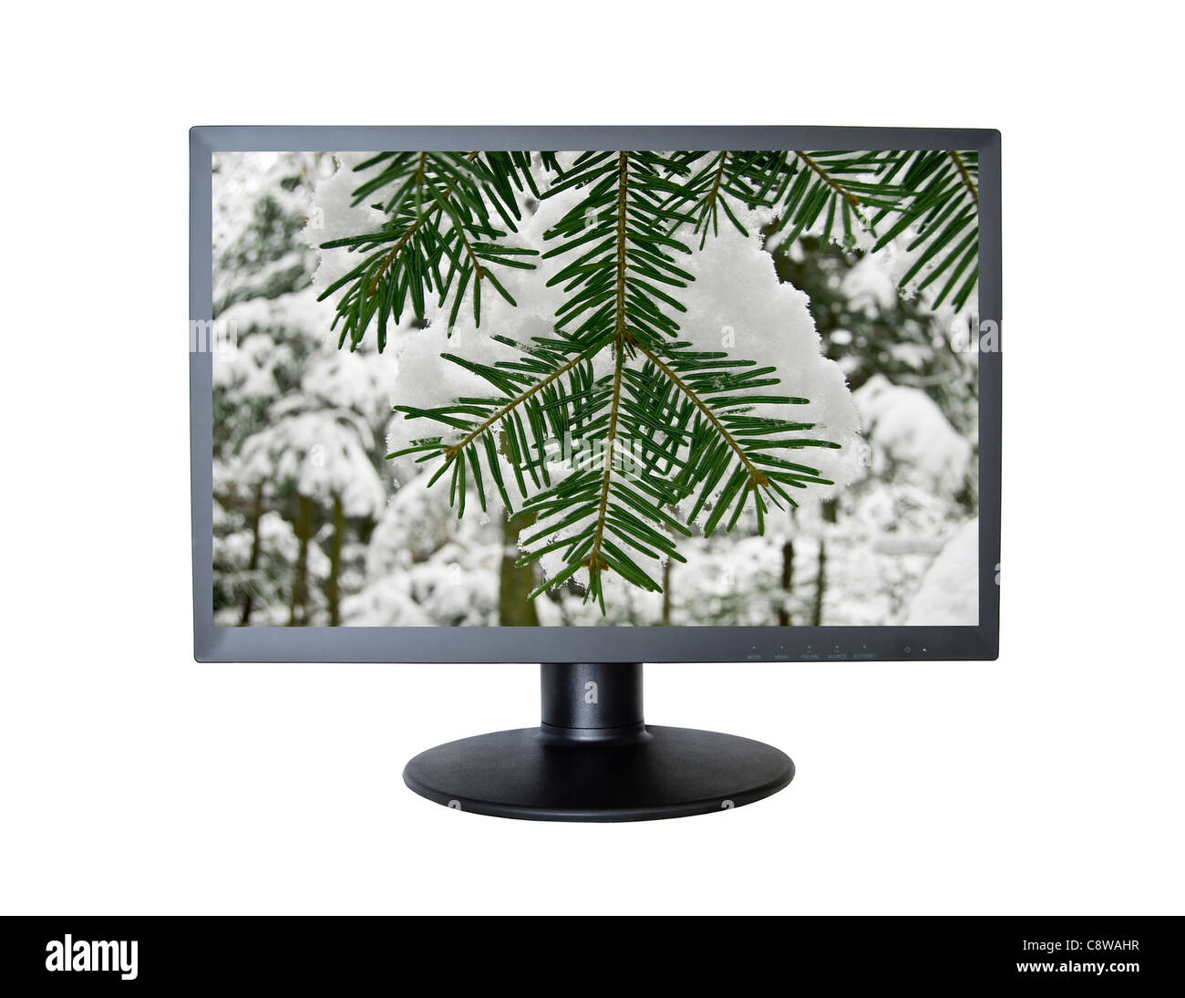 pine tree covered with frost in computer screen Stock Photo