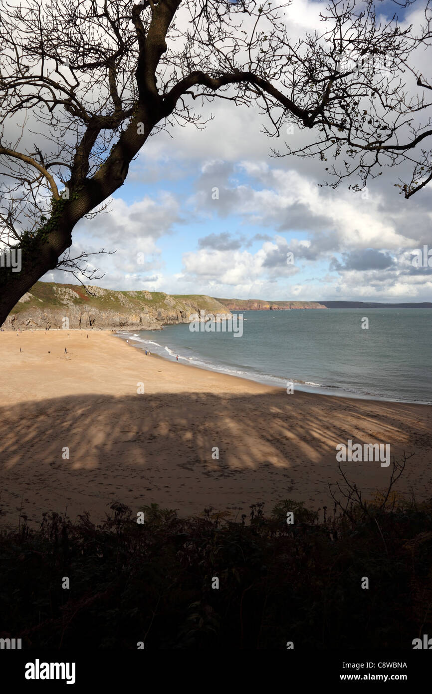 The Beach of Barafundle Bay From the Pembrokeshire Coastal Path Pembrokeshire National Park Wales Cymru UK GB Stock Photo