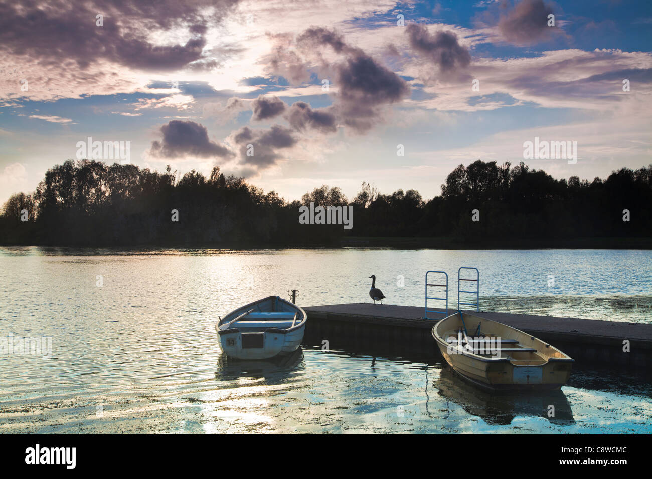 Colwick Country Park High Resolution Stock Photography and Images - Alamy