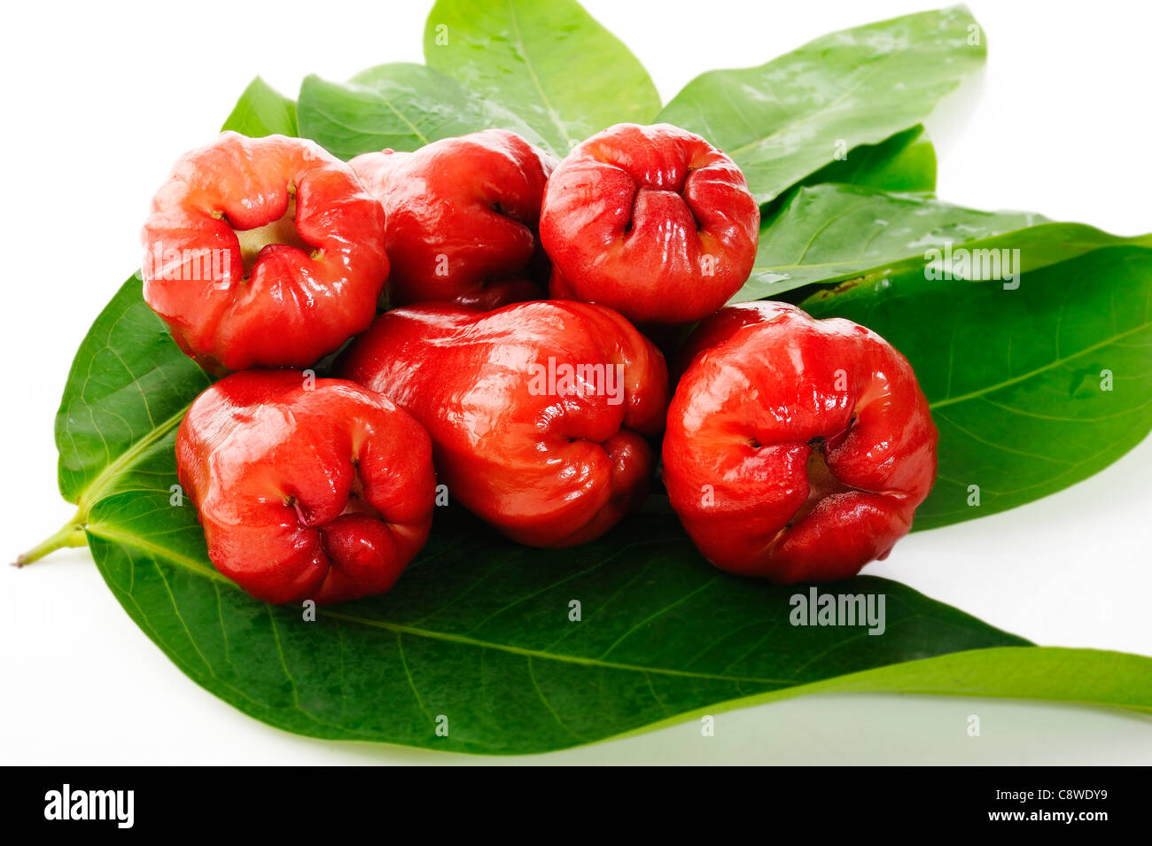 Rose Apples Stock Photos & Rose Apples Stock Images Alamy