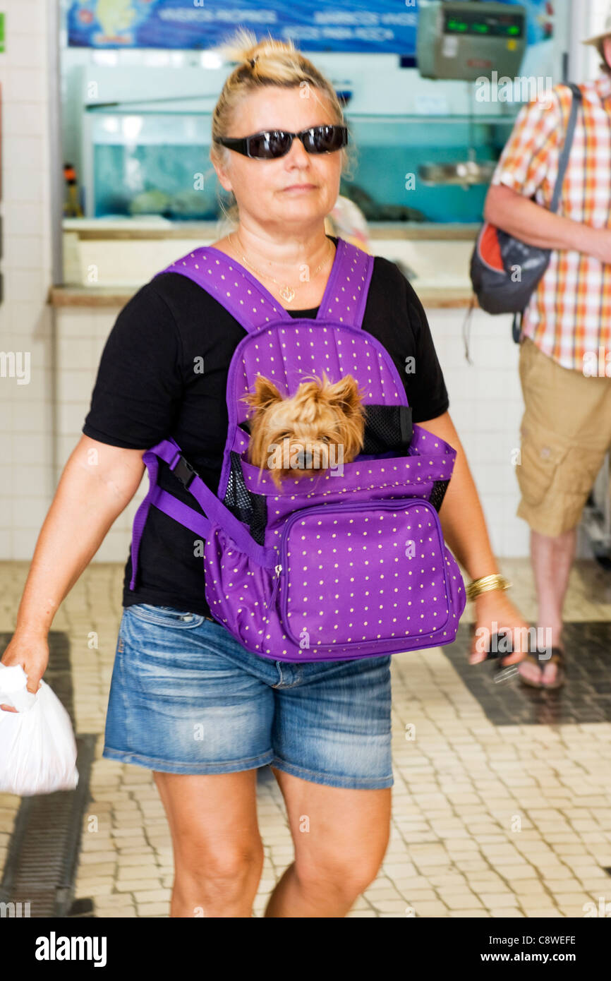 yorkie carry bag