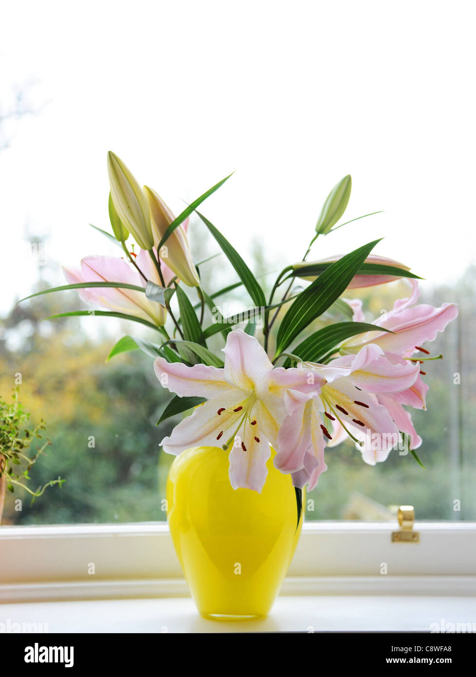 Lily Bouquet In A Yellow Vase Stock Photo Alamy
