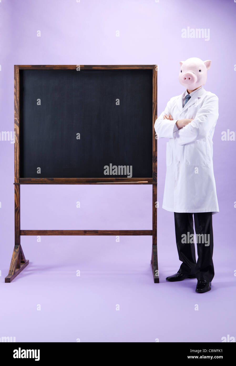 Pig Head Nutritionist With Blackboard Stock Photo
