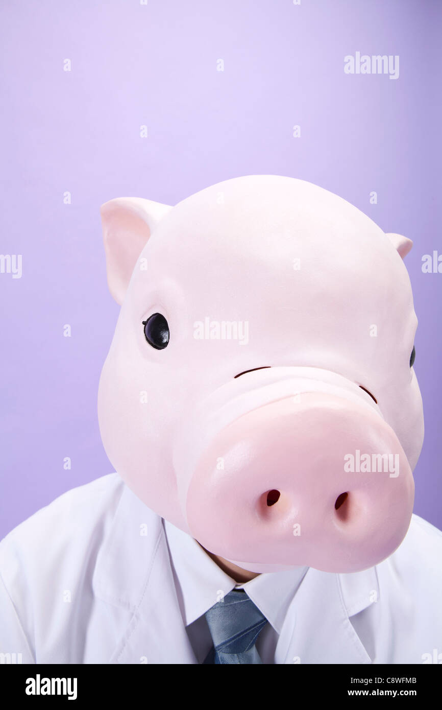 Pig Head Nutritionist Stock Photo