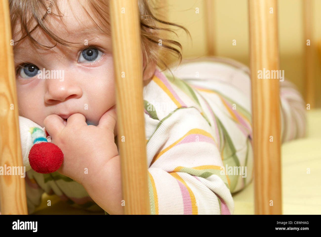Baby child girl 68 months old in crib Stock Photo Alamy