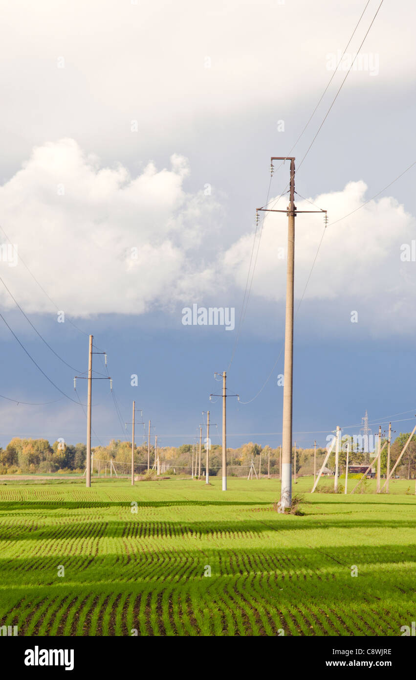 Electric pole in autumn field hi-res stock photography and images - Alamy