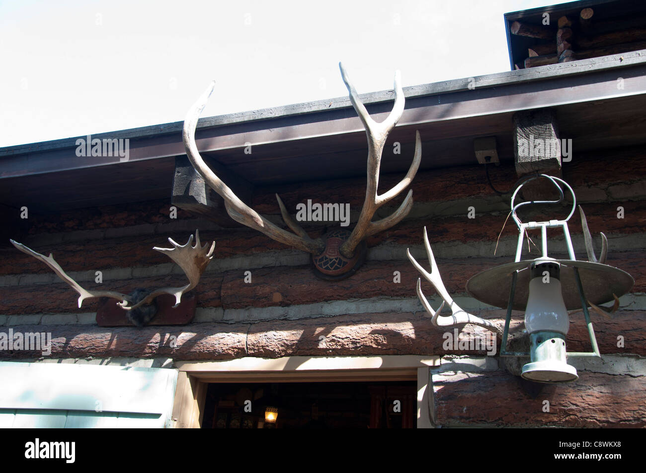 Deer horns on a wall Stock Photo Alamy