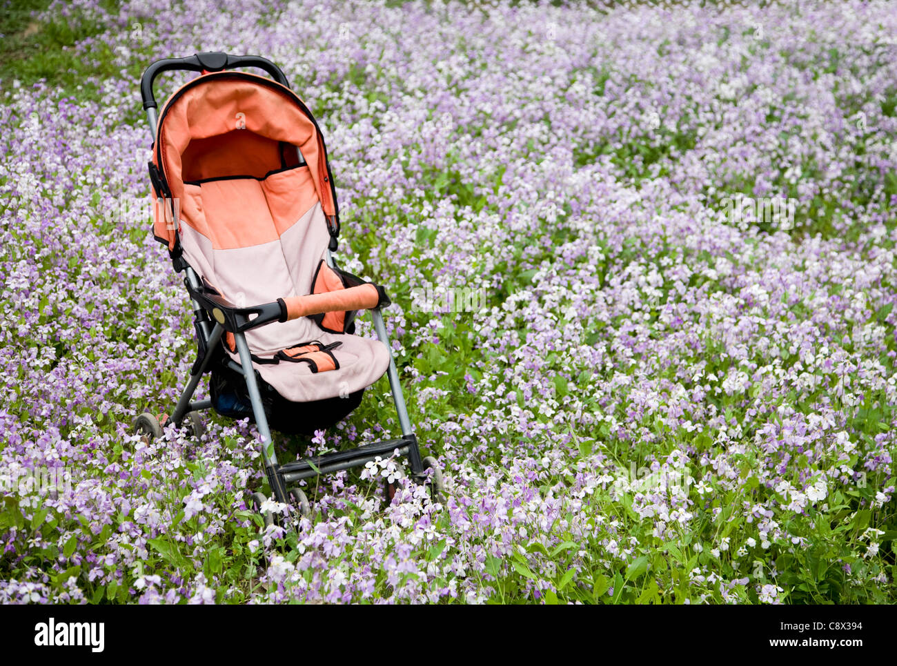 Baby Stroller in wildflower field Stock Photo
