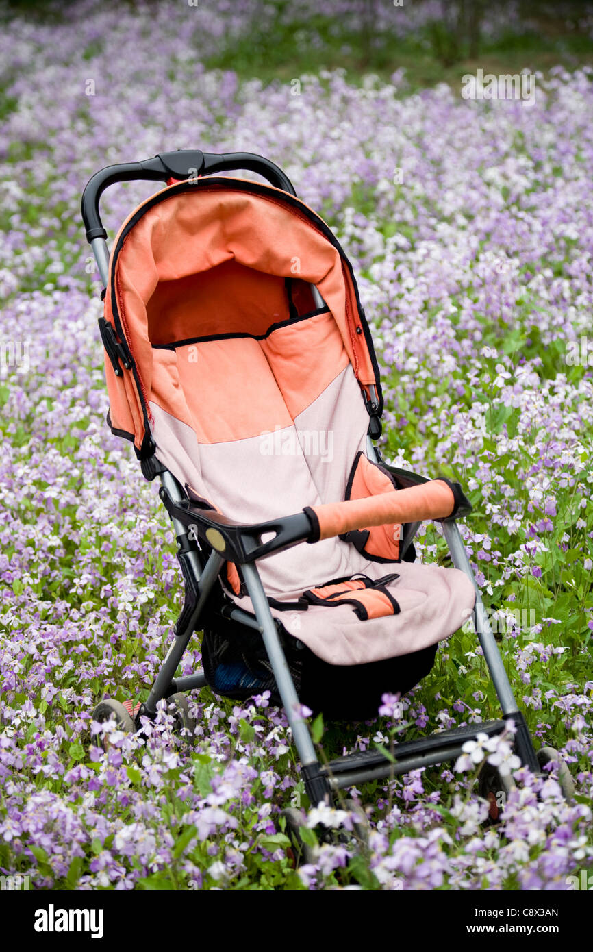 Baby Stroller in wildflower field Stock Photo