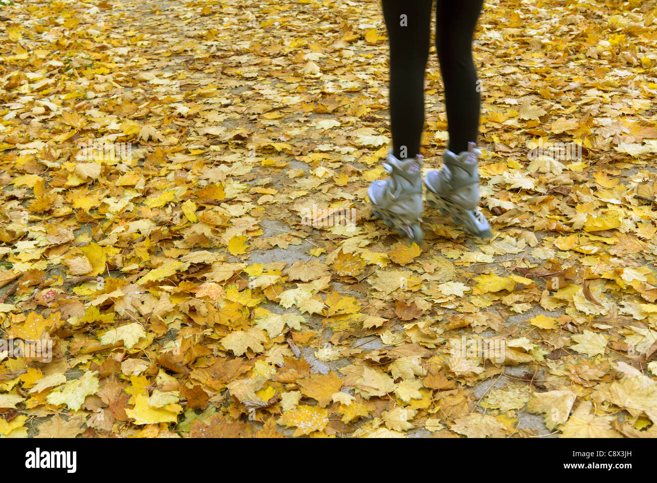 Roller skater skating through autumn leaves, Paris, France Stock Photo