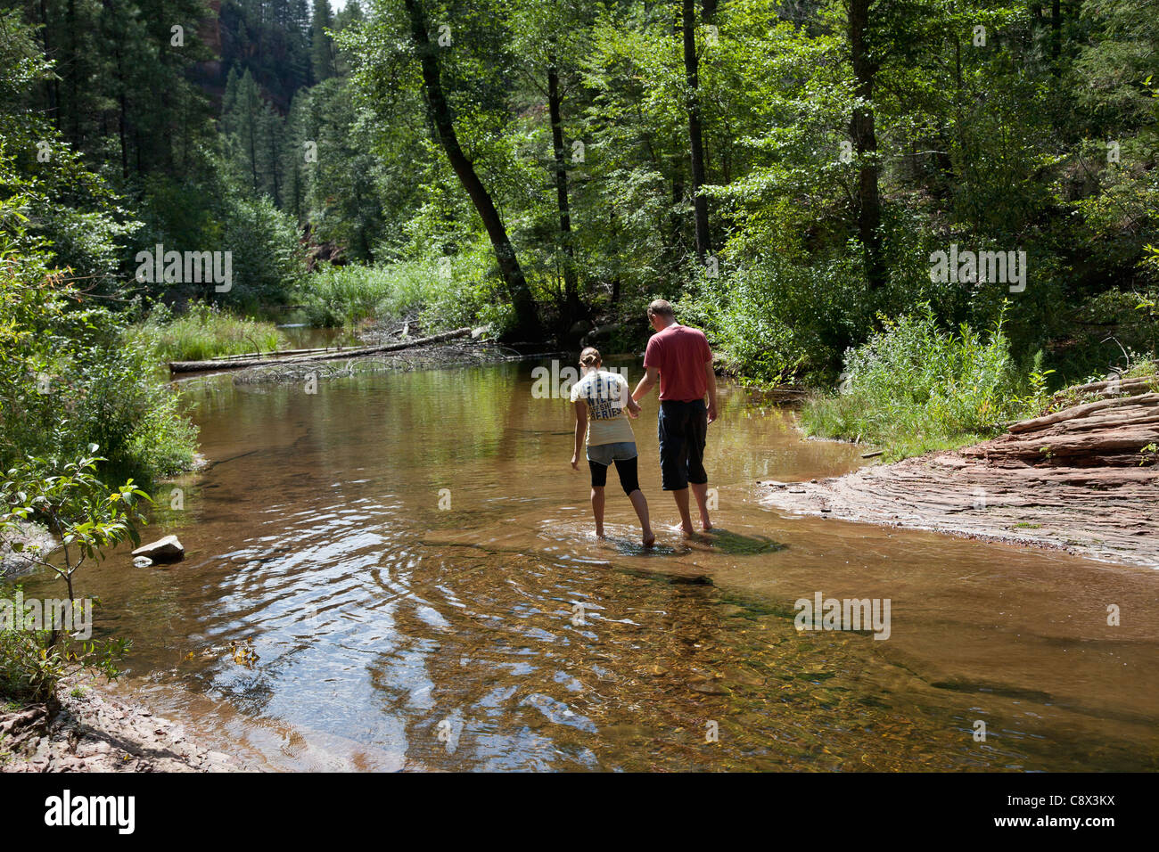 Crystal clear water mountain stream hi-res stock photography and images ...