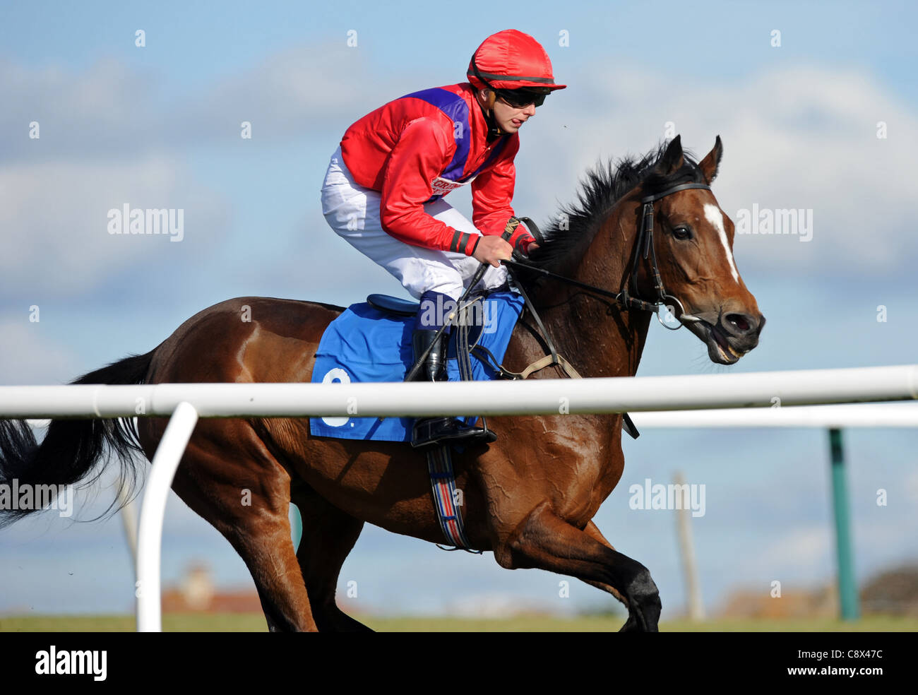 A Racehorse And Jockey Stock Photo Alamy a-racehorse-and-jockey-stock-photo-alamy