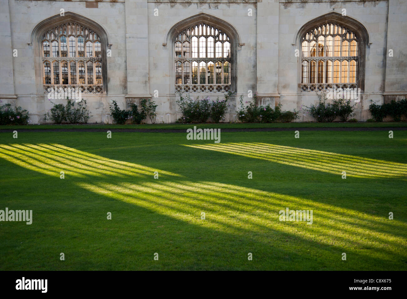 Sunlight and shadows through stone arch windows in a wall at Kings College Cambridge on Kings Parade England UK Stock Photo