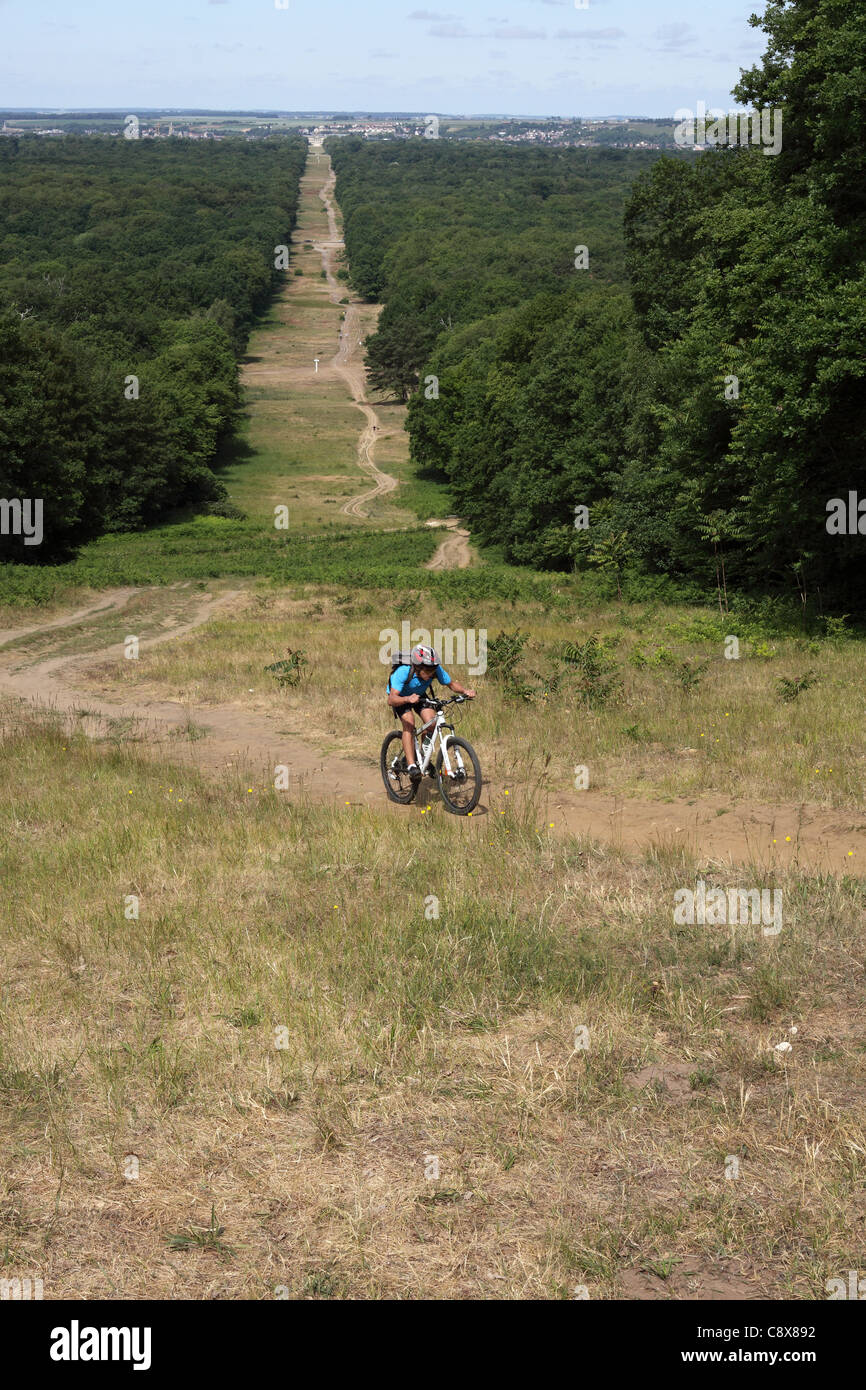 Cyclist going uphill in the Forest of Compiègne, France Stock Photo - Alamy