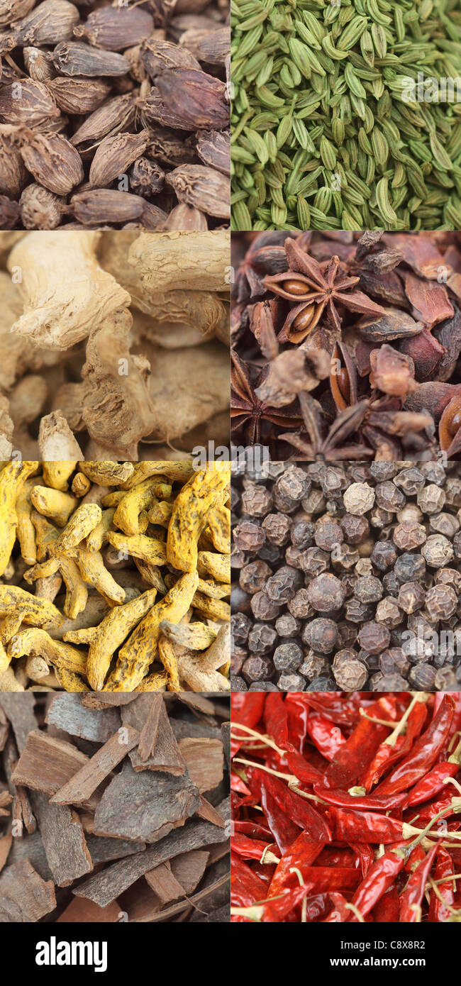 A selection of commonly used curry spices Stock Photo Alamy