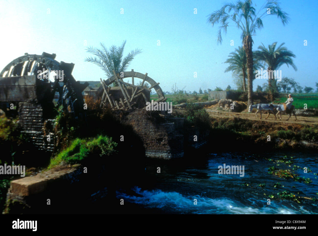 Traditional norias or water wheel irrigating farmland in the Fayyoum Oasis in Egypt Stock Photo