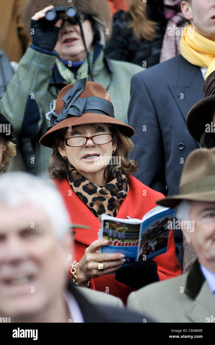 Woman watching a horse race at Cheltenham Races Stock Photo
