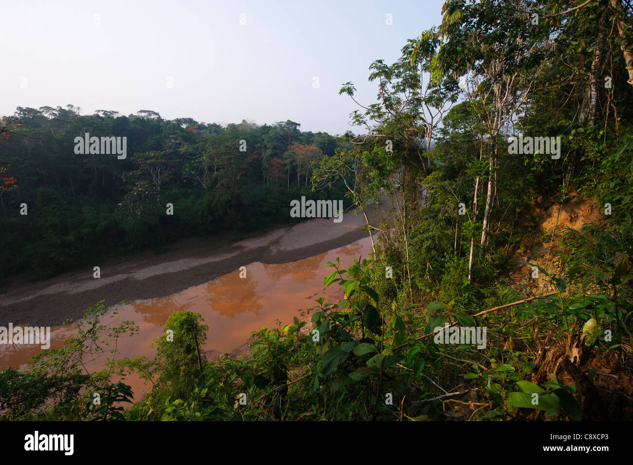 Backwater of the Tambopata River, Tambopata Peru Amazon Basin Stock Photo