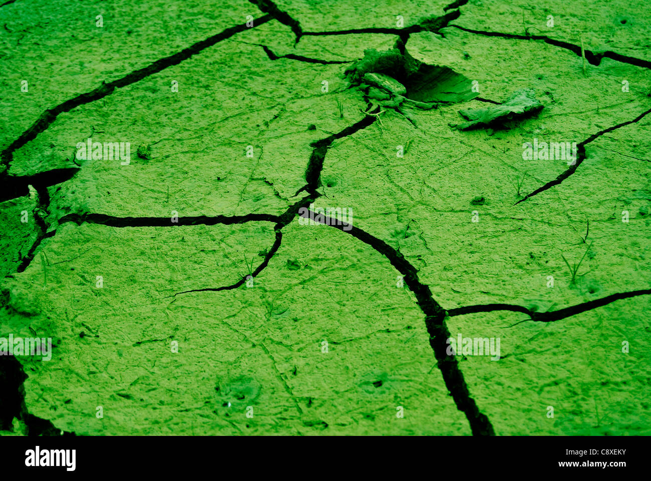 Cracked earth in dry desert Stock Photo