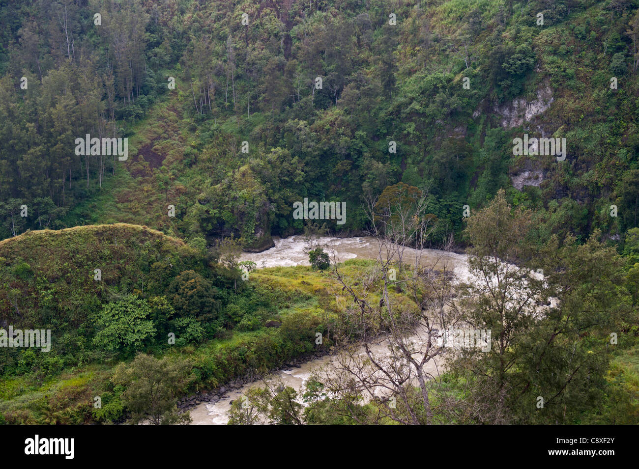 Baiyer River in Western Highlands Papua New Guinea Stock Photo Alamy