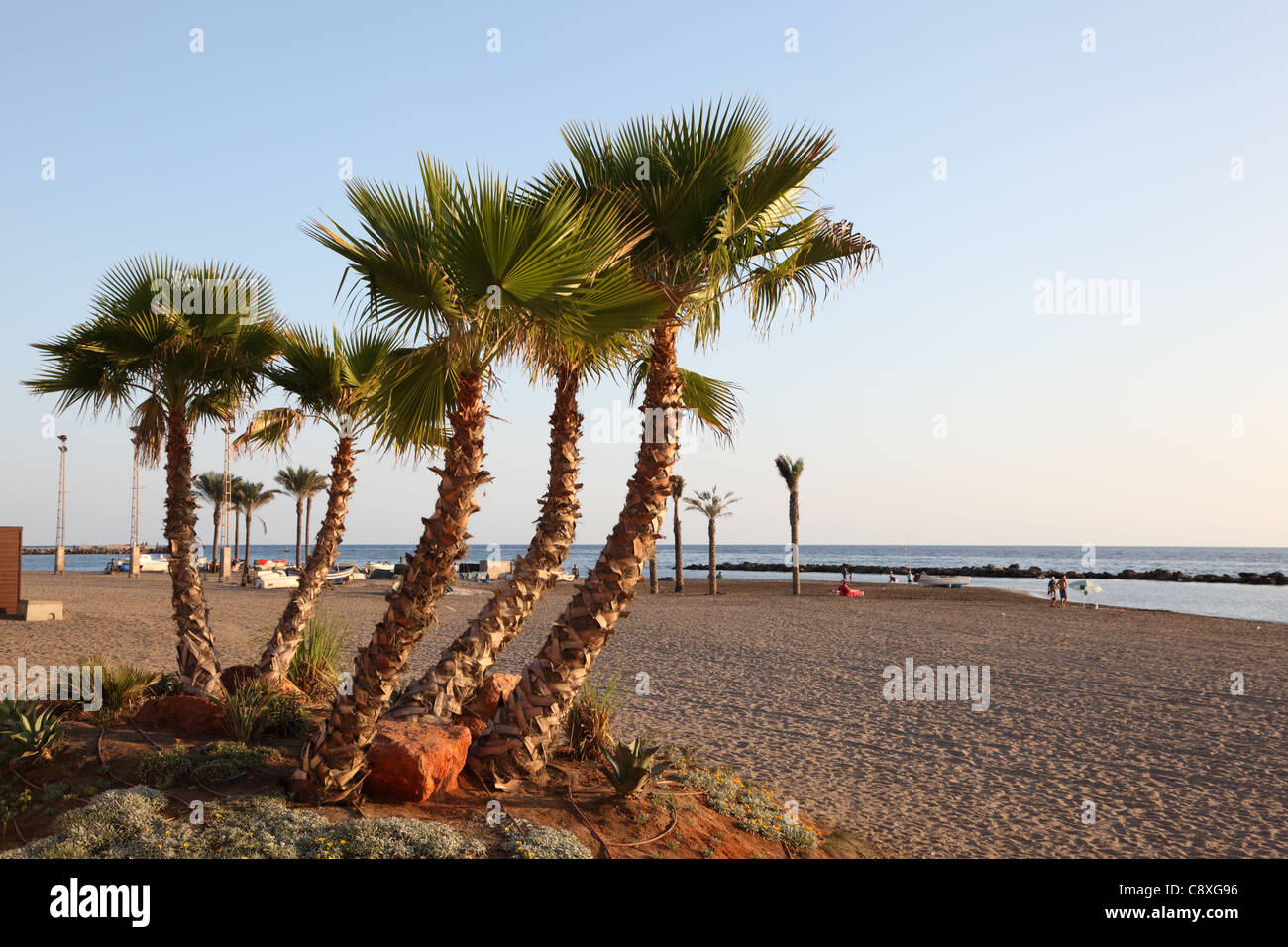 Palm trees on the beach in Almeria, Spain Stock Photo