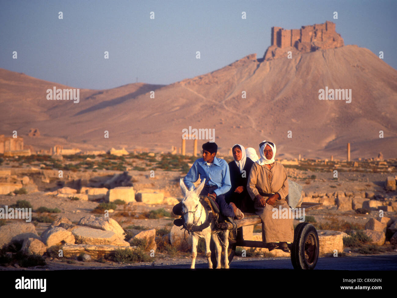 Family riding on a donkey-cart in the ruins of Palmyra Syria, 1980 Stock Photo