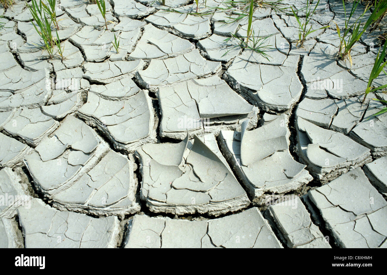 Parched & cracked soil dried out after waterlogging Stock Photo