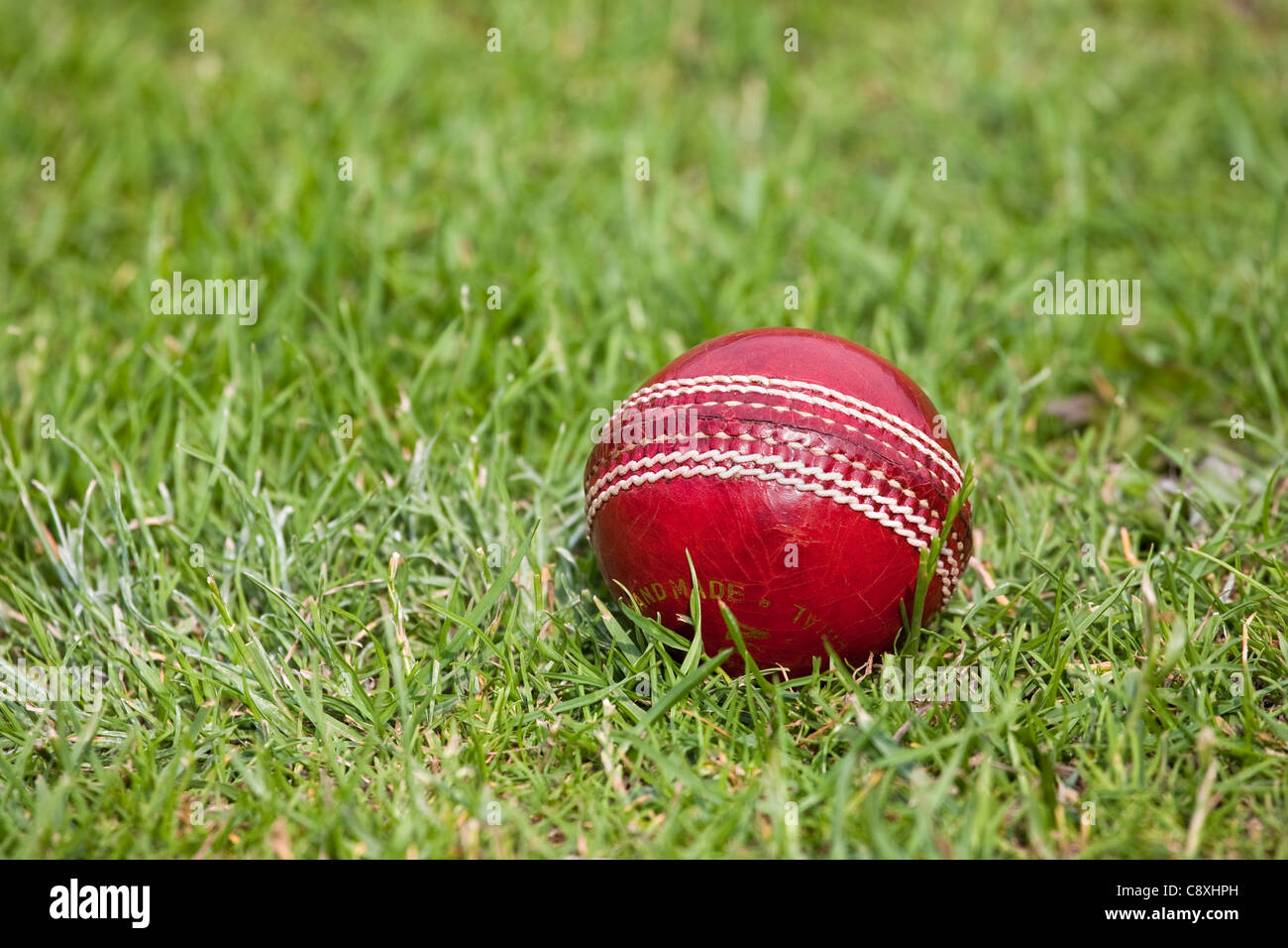 Red cricket ball on grass Stock Photo