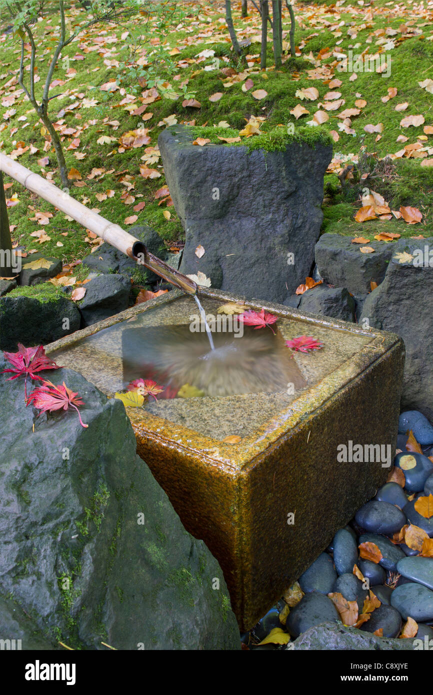 Japanese Bamboo Fountain with Stone Basin in the Fall Stock Photo