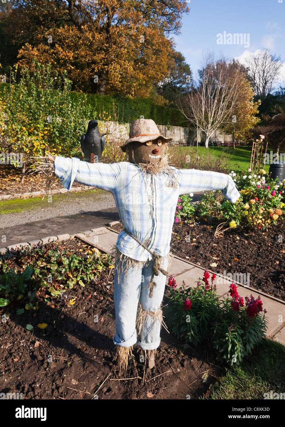 A straw stuffed scarecrow placed as a feature in a garden, Autumn, Britain. Stock Photo