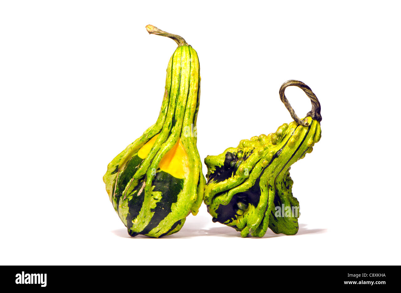 two decorative pumpkins isolated on white Stock Photo - Alamy