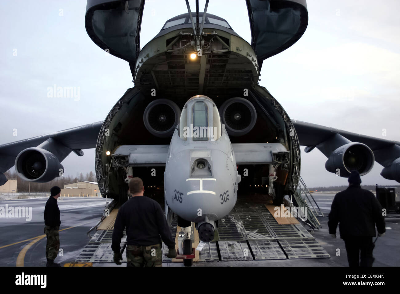 An A-10 Thunderbolt II is winched back into the C-5 Galaxy for transport to the Robbins Air Force Base, Ga., Museum of Aviation Flight and Technology Center Oct. 6 at Eielson Air Force Base, Alaska. The aircraft was disassembled into six different sections, which took a team of eight members three days to accomplish. Stock Photo