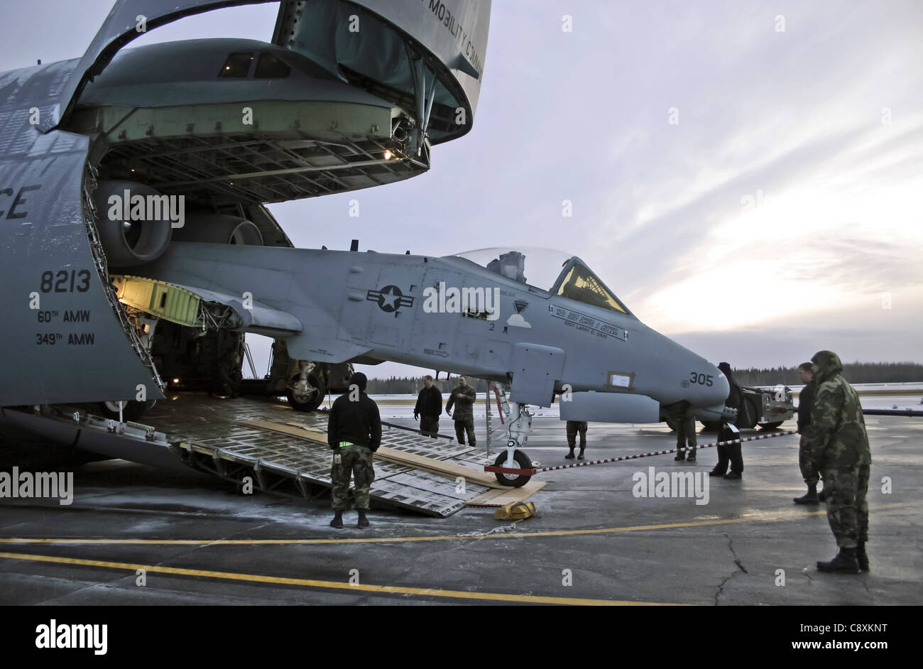 The team working on the inactive A-10 Thunderbolt II winches the aircraft into the C-5 Galaxy for transport to the Robbins Air Force Base, Ga. Museum of Aviation Flight and Technology Center Oct. 6 on the flightline at Eielson Air Force Base, Alaska. The aircraft was disassembled into six different sections in three days. Stock Photo