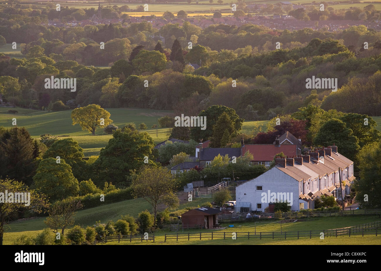 Row of Houses Gribdale Terrace near Great Ayton North Yorkshire England