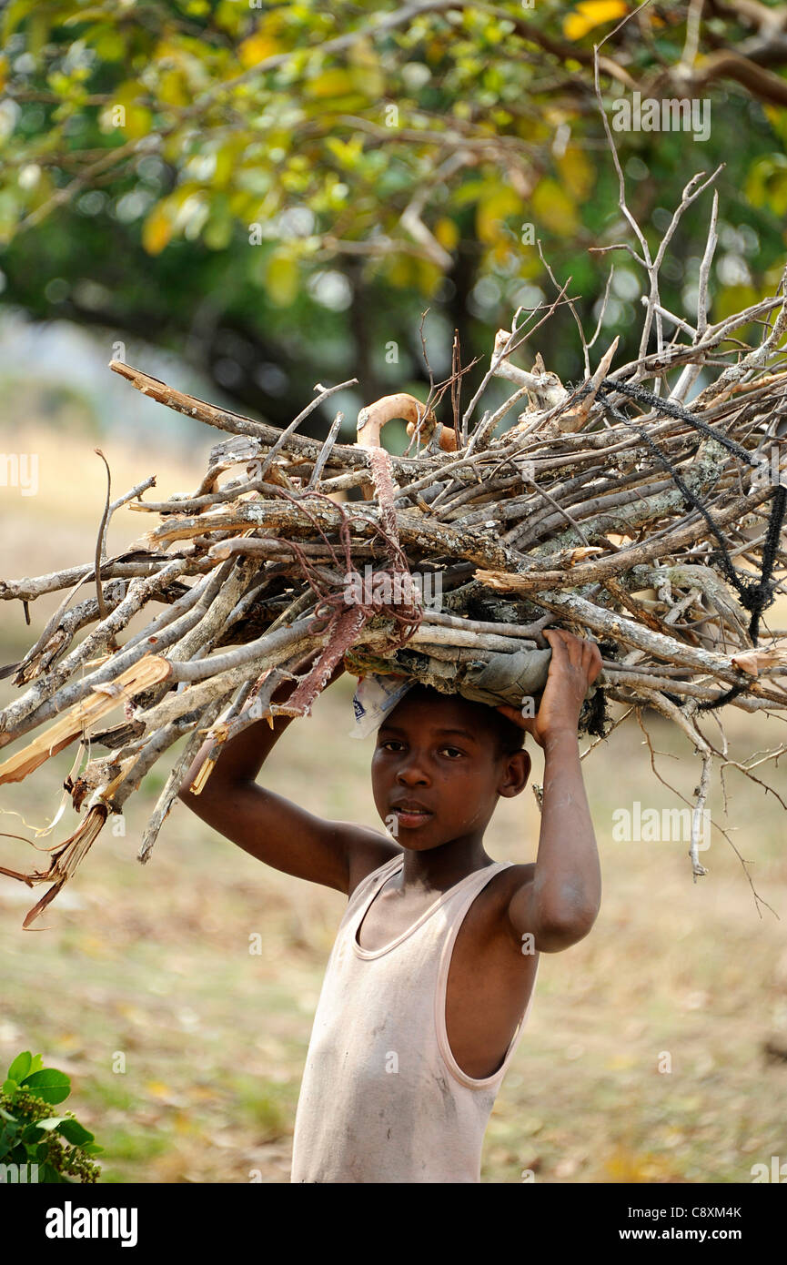 Boy carries bundle of wood on head. Stock Photo
