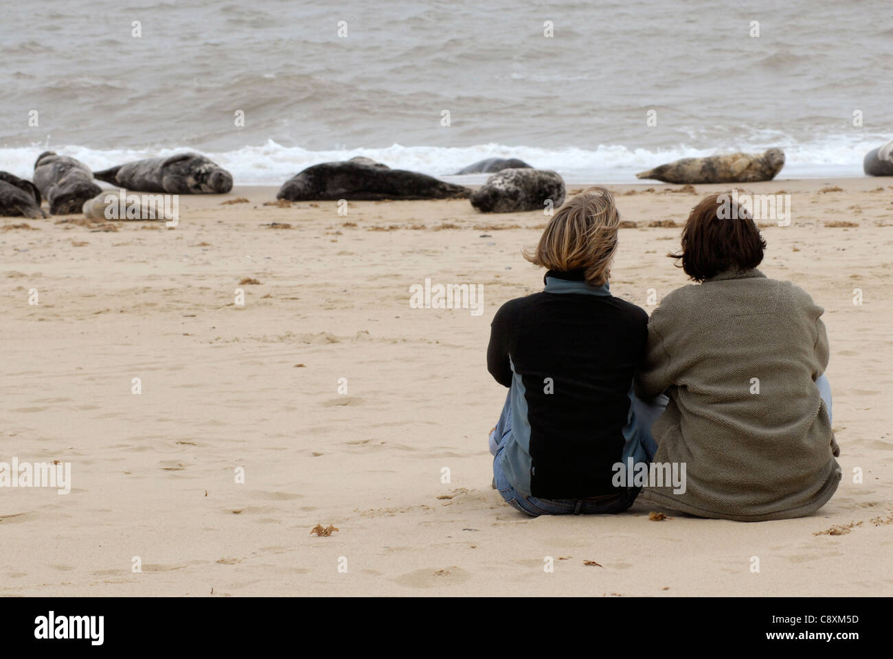 Two women sitting on the beach looking out to sea and watching the seals Stock Photo