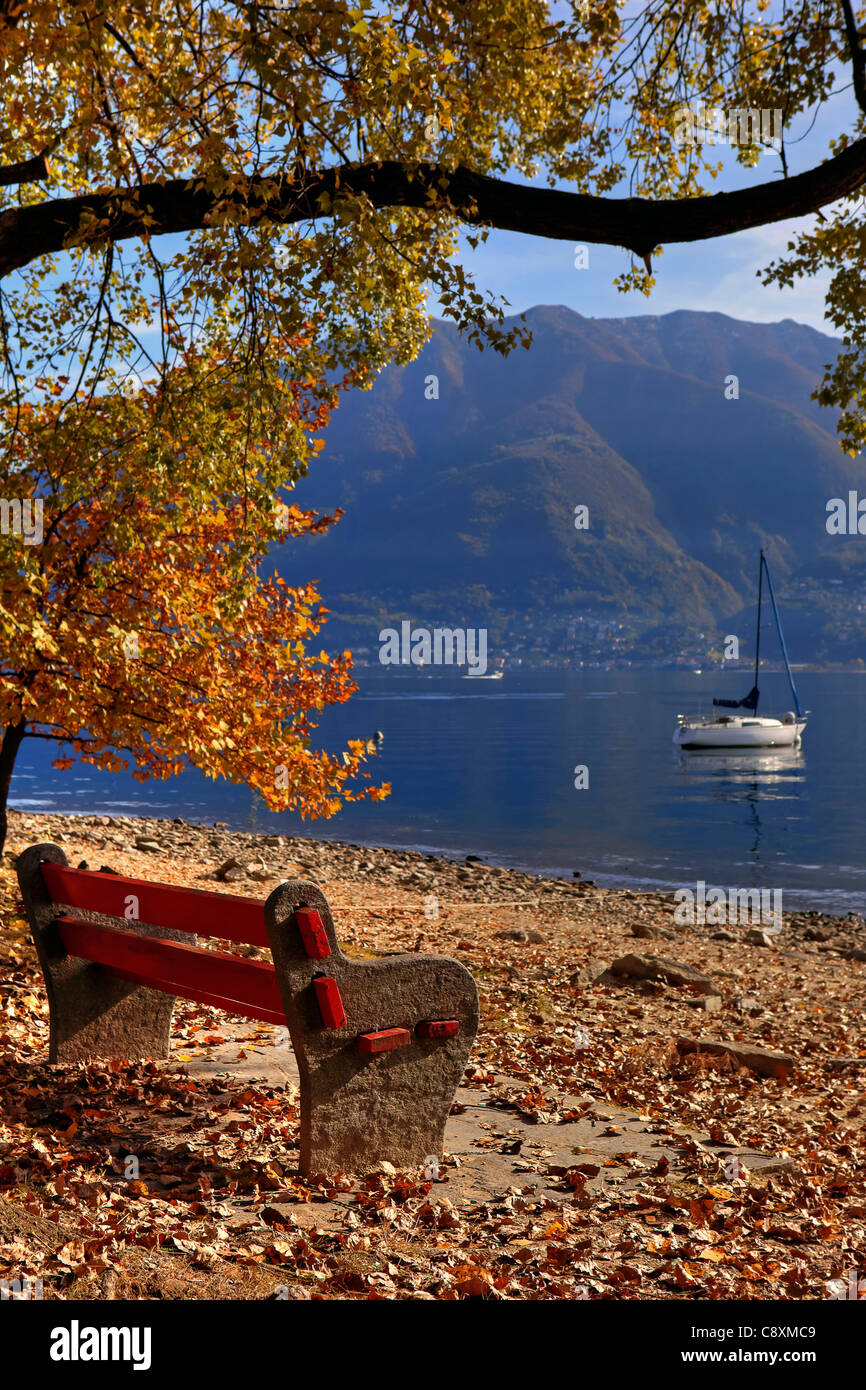 A bench at the autumnal beach of Lake Maggiore Stock Photo